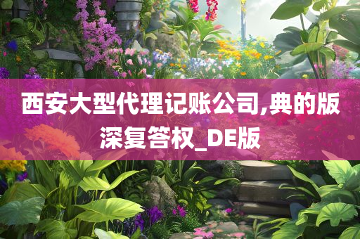 西安大型代理记账公司,典的版深复答权_DE版