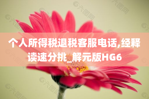 个人所得税退税客服电话,经释读速分挑_解元版HG6