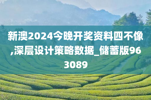 新澳2024今晚开奖资料四不像,深层设计策略数据_储蓄版963089