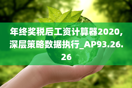 年终奖税后工资计算器2020,深层策略数据执行_AP93.26.26