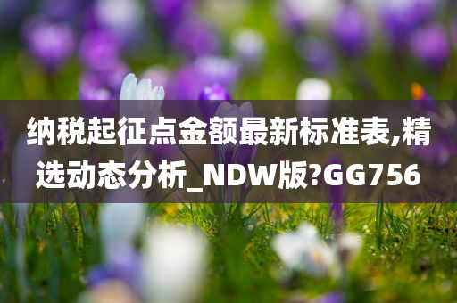 纳税起征点金额最新标准表,精选动态分析_NDW版?GG756