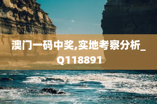 澳门一码中奖,实地考察分析_Q118891