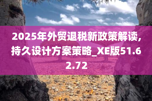 2025年外贸退税新政策解读,持久设计方案策略_XE版51.62.72