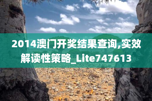 2014澳门开奖结果查询,实效解读性策略_Lite747613