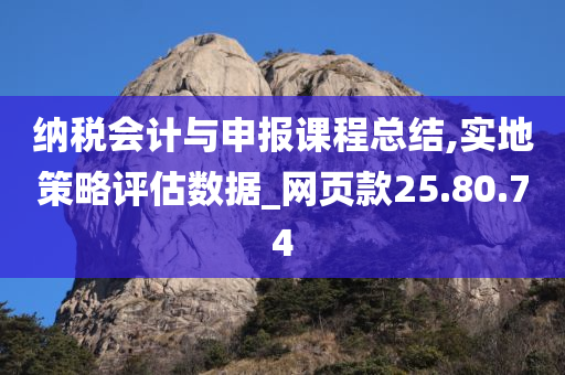 纳税会计与申报课程总结,实地策略评估数据_网页款25.80.74