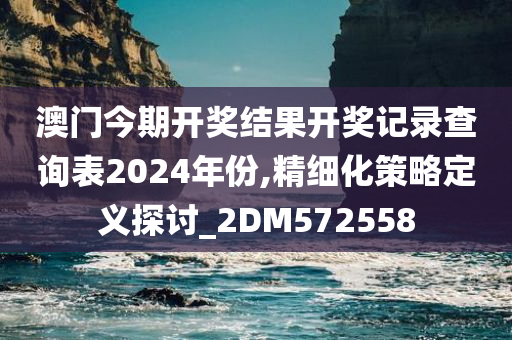 澳门今期开奖结果开奖记录查询表2024年份,精细化策略定义探讨_2DM572558