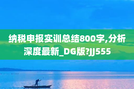 纳税申报实训总结800字,分析深度最新_DG版?JJ555