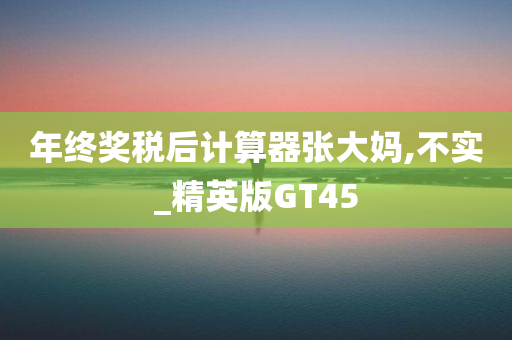 年终奖税后计算器张大妈,不实_精英版GT45