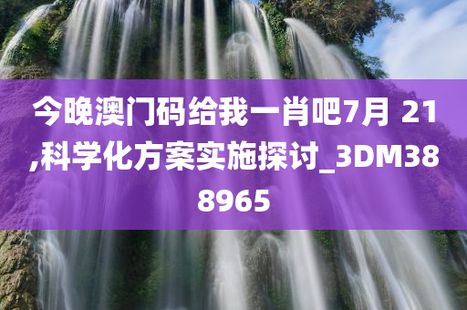 今晚澳门码给我一肖吧7月 21,科学化方案实施探讨_3DM388965