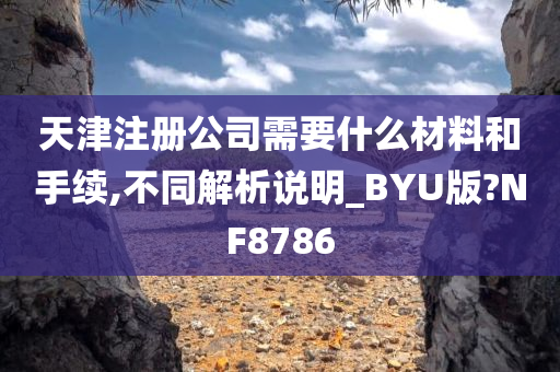 天津注册公司需要什么材料和手续,不同解析说明_BYU版?NF8786