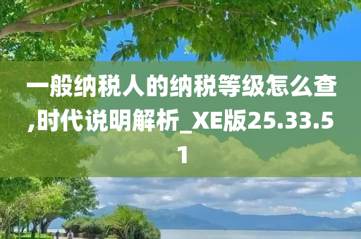 一般纳税人的纳税等级怎么查,时代说明解析_XE版25.33.51