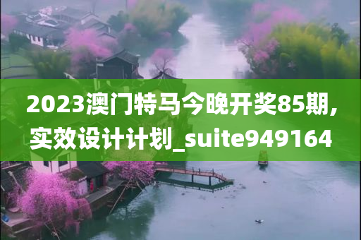 2023澳门特马今晚开奖85期,实效设计计划_suite949164