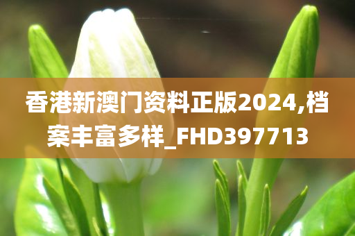 香港新澳门资料正版2024,档案丰富多样_FHD397713