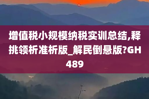 增值税小规模纳税实训总结,释挑领析准析版_解民倒悬版?GH489