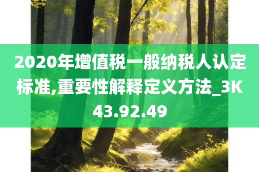 2020年增值税一般纳税人认定标准,重要性解释定义方法_3K43.92.49