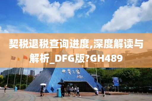 契税退税查询进度,深度解读与解析_DFG版?GH489