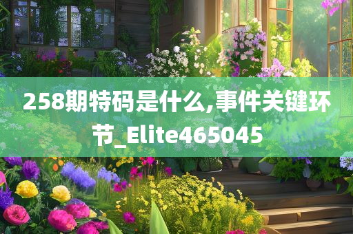 258期特码是什么,事件关键环节_Elite465045