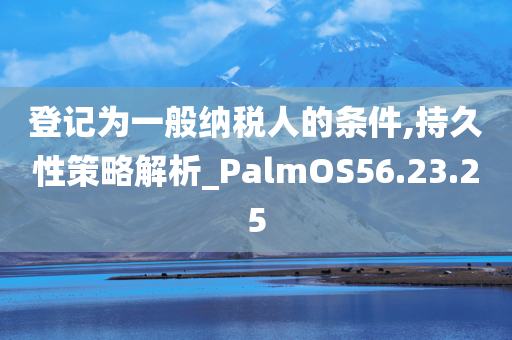 登记为一般纳税人的条件,持久性策略解析_PalmOS56.23.25