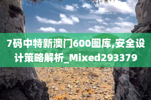 7码中特新澳门600图库,安全设计策略解析_Mixed293379