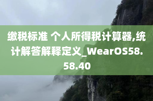 缴税标准 个人所得税计算器,统计解答解释定义_WearOS58.58.40