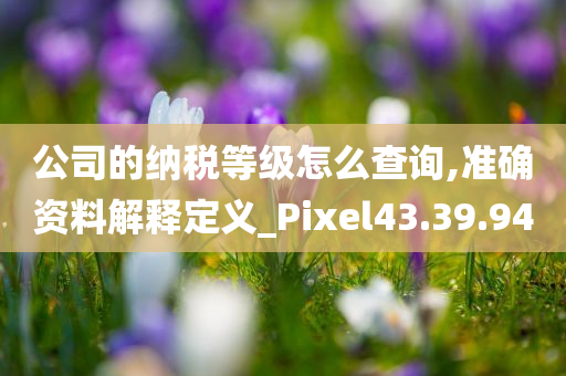 公司的纳税等级怎么查询,准确资料解释定义_Pixel43.39.94