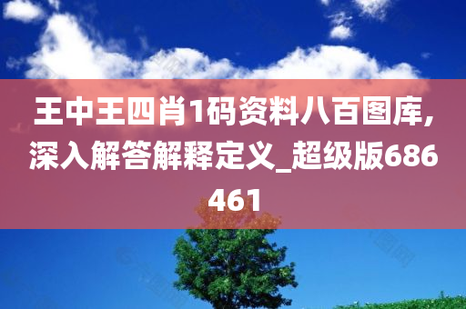 王中王四肖1码资料八百图库,深入解答解释定义_超级版686461