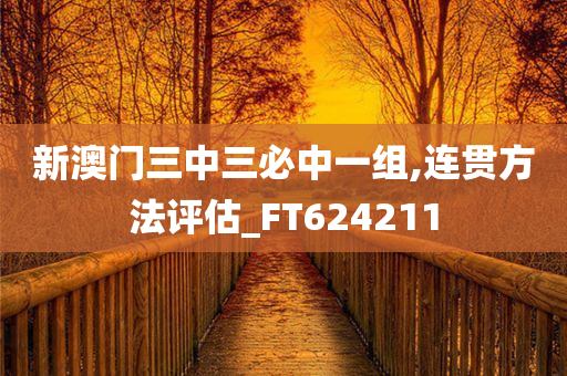 新澳门三中三必中一组,连贯方法评估_FT624211