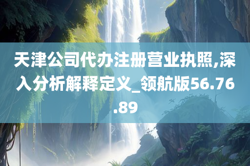 天津公司代办注册营业执照,深入分析解释定义_领航版56.76.89