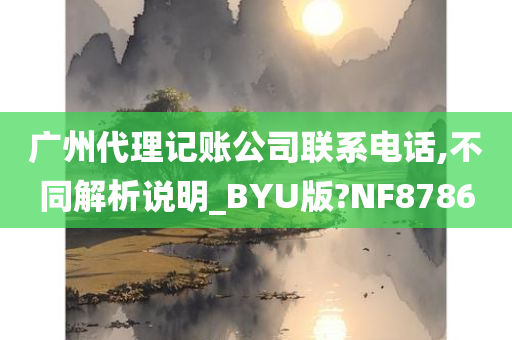 广州代理记账公司联系电话,不同解析说明_BYU版?NF8786