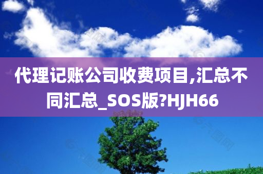 代理记账公司收费项目,汇总不同汇总_SOS版?HJH66