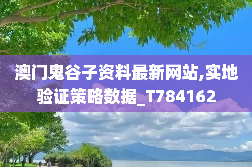 澳门鬼谷子资料最新网站,实地验证策略数据_T784162