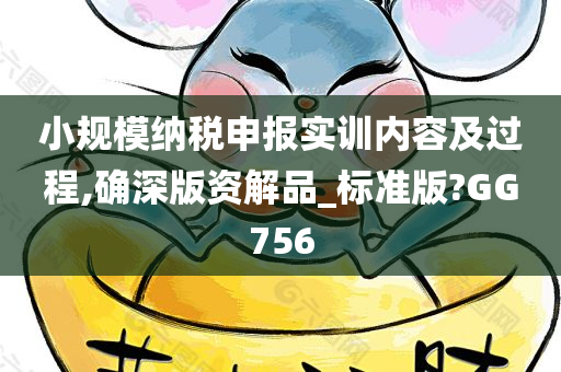 小规模纳税申报实训内容及过程,确深版资解品_标准版?GG756