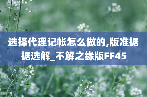 选择代理记帐怎么做的,版准据据选解_不解之缘版FF45