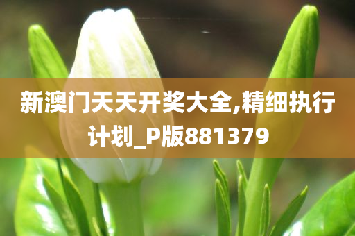 新澳门天天开奖大全,精细执行计划_P版881379