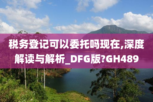 税务登记可以委托吗现在,深度解读与解析_DFG版?GH489