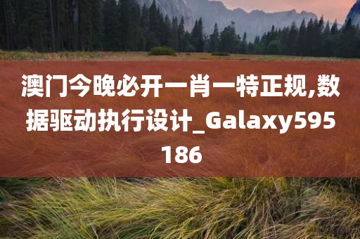 澳门今晚必开一肖一特正规,数据驱动执行设计_Galaxy595186