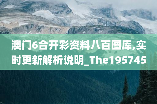 澳门6合开彩资料八百图库,实时更新解析说明_The195745