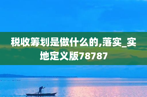 税收筹划是做什么的,落实_实地定义版78787