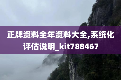 正牌资料全年资料大全,系统化评估说明_kit788467