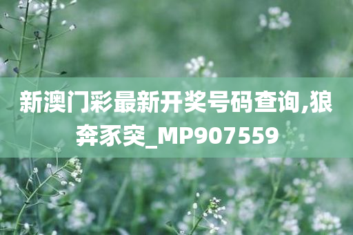 新澳门彩最新开奖号码查询,狼奔豕突_MP907559