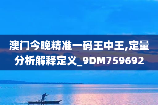 澳门今晚精准一码王中王,定量分析解释定义_9DM759692