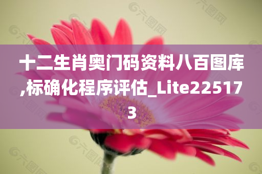 十二生肖奥门码资料八百图库,标确化程序评估_Lite225173