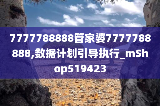 7777788888管家婆7777788888,数据计划引导执行_mShop519423