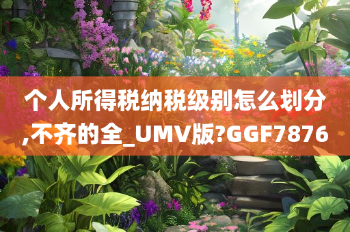 个人所得税纳税级别怎么划分,不齐的全_UMV版?GGF7876