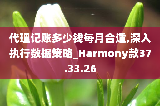 代理记账多少钱每月合适,深入执行数据策略_Harmony款37.33.26