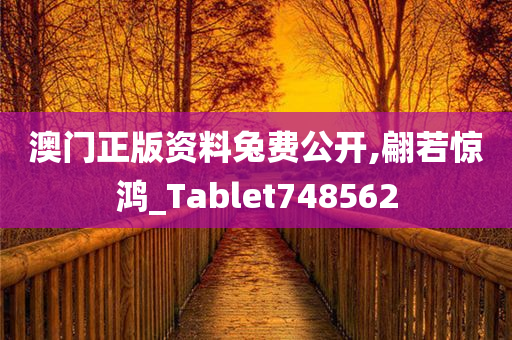 澳门正版资料兔费公开,翩若惊鸿_Tablet748562