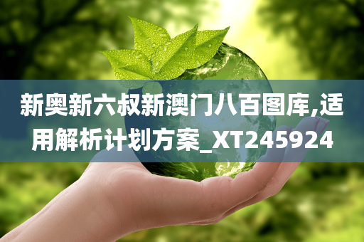 新奥新六叔新澳门八百图库,适用解析计划方案_XT245924