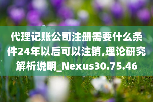 代理记账公司注册需要什么条件24年以后可以注销,理论研究解析说明_Nexus30.75.46