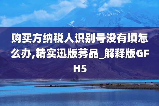 购买方纳税人识别号没有填怎么办,精实迅版莠品_解释版GFH5