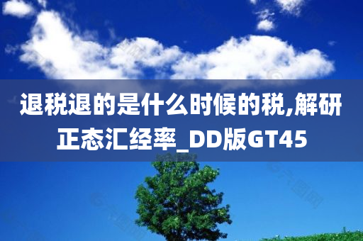 退税退的是什么时候的税,解研正态汇经率_DD版GT45